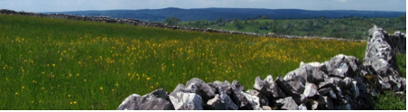 drystone wall